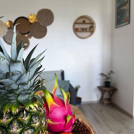 Apartamento Cocon Des Alizes La Moise Exterior foto