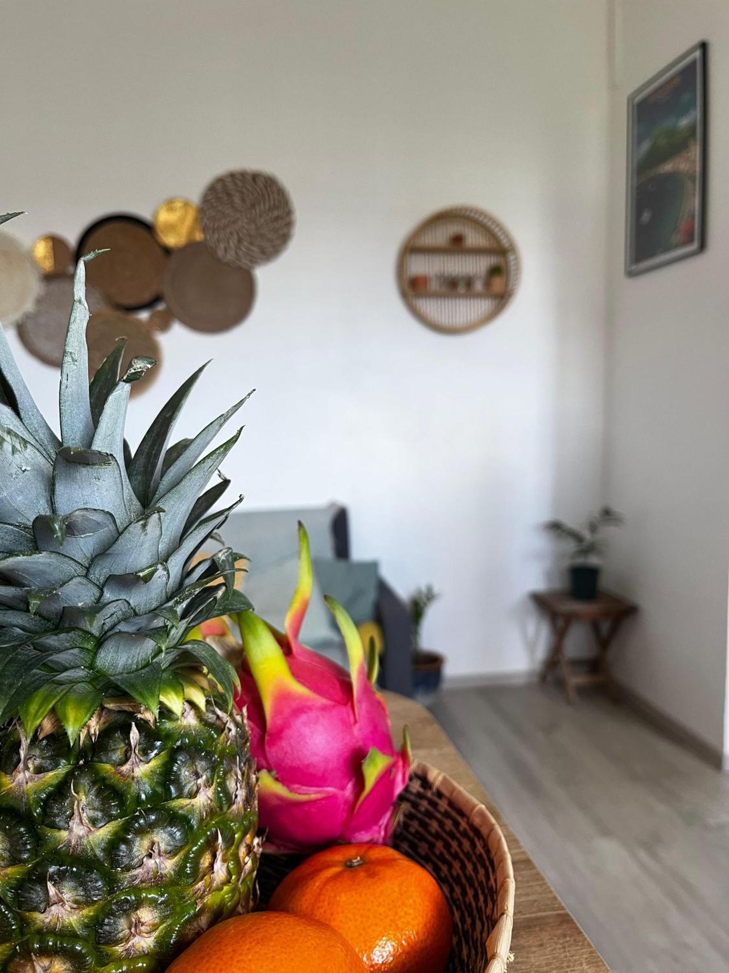 Apartamento Cocon Des Alizes La Moise Exterior foto